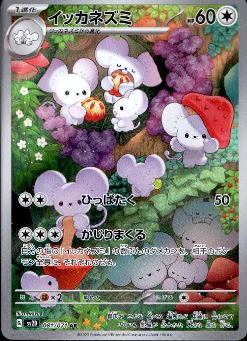 c-card